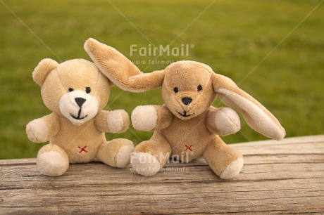 Fair Trade Photo Activity, Animals, Bear, Colour image, Couple, Flower, Friendship, Grass, Green, Horizontal, Love, Outdoor, Peru, Rabbit, Sitting, South America, Together, Toy, Two, Wood, Yellow