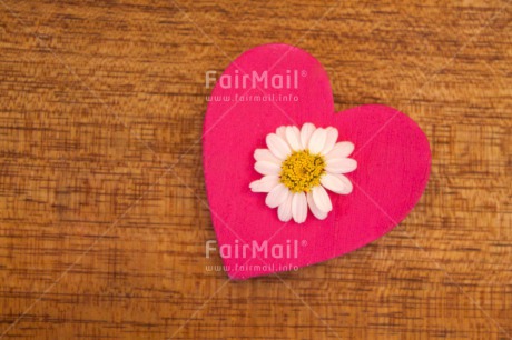 Fair Trade Photo Baby, Birth, Colour image, Daisy, Flower, Heart, Horizontal, New baby, People, Peru, Pregnant, South America, White, Wood
