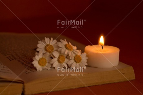 Fair Trade Photo Book, Candle, Colour image, Condolence-Sympathy, Daisy, Flower, Horizontal, Indoor, Light, Love, Peru, South America, White