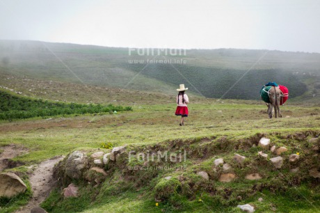 Fair Trade Photo 10-15 years, Agriculture, Animals, Clothing, Day, Donkey, Emotions, Ethnic-folklore, Farmer, Grass, Horizontal, Latin, Loneliness, Mountain, One girl, Outdoor, People, Sombrero, Stone, Traditional clothing