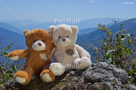 Fair Trade Photo Activity, Colour image, Cute, Day, Friendship, Hugging, Love, Outdoor, Peru, Scenic, South America, Teddybear, Together