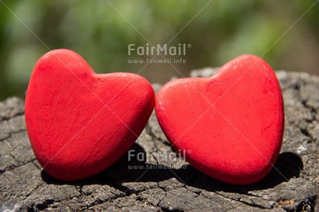 Fair Trade Photo Closeup, Colour image, Green, Heart, Horizontal, Love, Mothers day, Peru, Red, South America, Tree, Valentines day