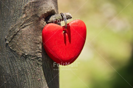 Fair Trade Photo Closeup, Green, Heart, Horizontal, Love, Mothers day, Peru, Red, South America, Tree, Valentines day