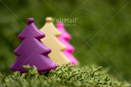 Fair Trade Photo Christmas, Closeup, Colour image, Colourful, Horizontal, Peru, South America, Tree