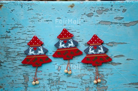 Fair Trade Photo Christmas, Colour image, Horizontal, Peru, Red, South America, Tree