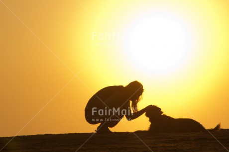 Fair Trade Photo Animals, Care, Colour image, Dog, Friendship, Holiday, Horizontal, Love, One girl, People, Peru, Shooting style, Silhouette, South America, Summer, Sunset, Travel
