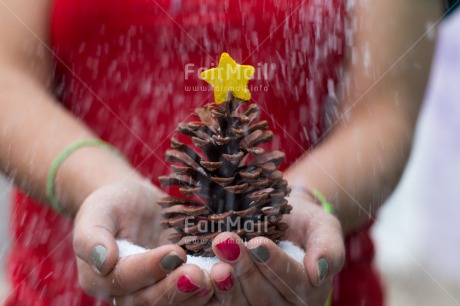 Fair Trade Photo Activity, Christmas, Colour image, Giving, Hand, Horizontal, Peru, Pine, Red, Seasons, Snow, South America, Star, White, Winter, Yellow