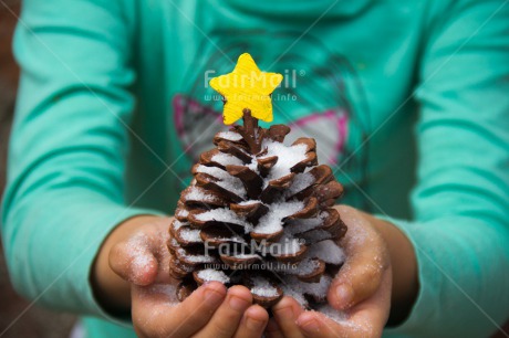 Fair Trade Photo Christmas, Closeup, Colour image, Hand, Horizontal, Peru, Pine, Shooting style, Snow, South America, Star