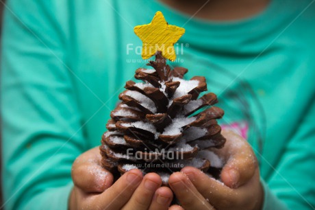 Fair Trade Photo Christmas, Closeup, Colour image, Hand, Horizontal, Peru, Pine, Shooting style, Snow, South America, Star