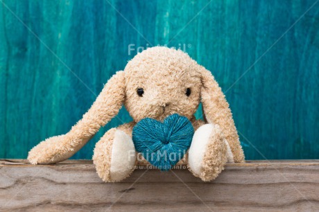 Fair Trade Photo Animals, Blue, Colour image, Fathers day, Friendship, Gift, Heart, Horizontal, Love, Mothers day, Peru, Rabbit, Sorry, South America, Thank you, Toy, Valentines day, Wool