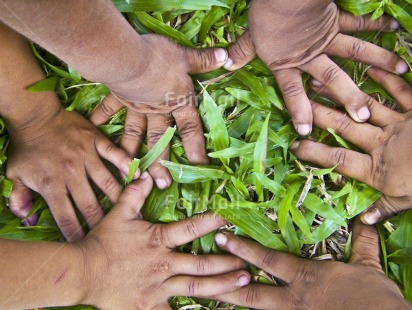 Fair Trade Photo Activity, Closeup, Colour image, Cooperation, Day, Friendship, Garden, Grass, Group of children, Hand, Horizontal, Outdoor, People, Peru, Playing, Seasons, South America, Spirituality, Strength, Summer, Together, Tolerance, Values