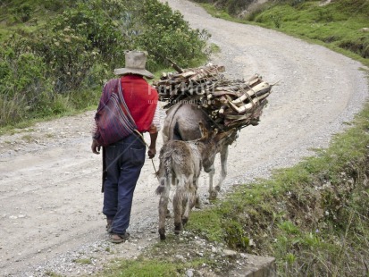 Fair Trade Photo Activity, Animals, Carrying, Clothing, Colour image, Condolence, Dailylife, Donkey, Ethnic-folklore, Good luck, Hat, Horizontal, Multi-coloured, Nature, One man, Outdoor, People, Peru, Portrait fullbody, Rural, Sombrero, South America, Streetlife, Transport, Work, Working