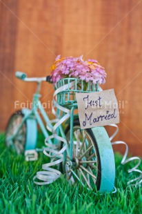 Fair Trade Photo Bicycle, Colour image, Colourful, Flower, Grass, Green, Letter, Love, Marriage, Peru, South America, Text, Thinking of you, Transport, Valentines day, Vertical, Wedding, Wood