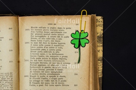 Fair Trade Photo Activity, Book, Clover, Flower, Nature, Object, Reading, Study, Studying