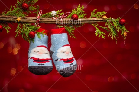 Fair Trade Photo Candy, Christmas, Christmas decoration, Christmas tree, Clothing, Food and alimentation, Light, Nature, Object, Present, Sock