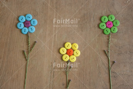 Fair Trade Photo Button, Closeup, Colour image, Flower, Get well soon, Horizontal, Mothers day, Peru, Shooting style, South America