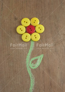 Fair Trade Photo Button, Closeup, Colour image, Flower, Get well soon, Mothers day, Peru, Shooting style, South America, Vertical