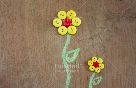 Fair Trade Photo Button, Closeup, Colour image, Flower, Get well soon, Horizontal, Mothers day, Peru, Shooting style, South America