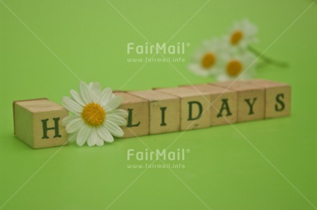 Fair Trade Photo Colour image, Daisy, Flower, Holiday, Horizontal, Letter, Peru, Relax, South America