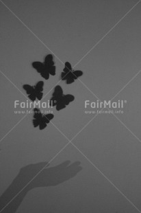 Fair Trade Photo Artistique, Black and white, Butterfly, Condolence-Sympathy, Get well soon, Peru, Shadow, Shooting style, South America, Vertical