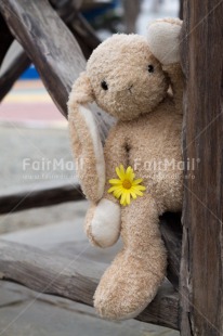 Fair Trade Photo Animals, Colour image, Cute, Flower, Friendship, Mothers day, Peru, Rabbit, South America, Thank you, Valentines day, Vertical