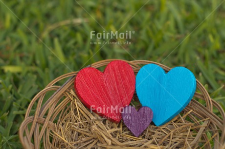 Fair Trade Photo Blue, Colour image, Easter, Family, Grass, Green, Heart, Horizontal, Love, Nest, New baby, Outdoor, Peru, Purple, Red, Seasons, South America, Spring, Summer