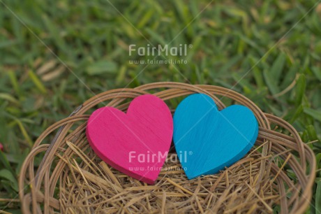 Fair Trade Photo Blue, Colour image, Easter, Fathers day, Grass, Green, Heart, Horizontal, Love, Mothers day, Nest, Outdoor, Peru, Pink, Seasons, South America, Spring, Summer, Valentines day