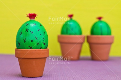 Fair Trade Photo Birthday, Cactus, Colour image, Colourful, Easter, Egg, Food and alimentation, Friendship, Horizontal, Love, Peru, South America, Thank you, Thinking of you