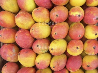 Fair Trade Photo Colour image, Colourful, Food and alimentation, Fruits, Fullframe, Get well soon, Health, Horizontal, Indoor, Mango, Market, Peru, Red, South America, Yellow