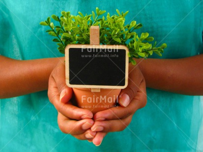 Fair Trade Photo Colour image, Congratulations, Contrast, Fathers day, Gift, Good luck, Green, Greeting, Hands, Horizontal, Message, Mothers day, Peru, Plant, Pot, Sorry, South America, Thank you, Valentines day