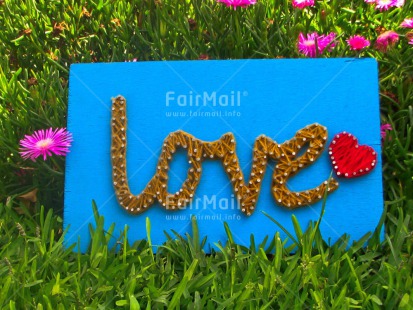 Fair Trade Photo Colour image, Crafts, Flowers, Grass, Green, Heart, Horizontal, Love, Nature, Peru, Red, South America, Text, Valentines day, Wool