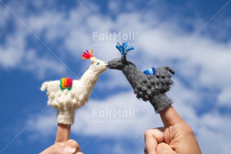 Fair Trade Photo Activity, Animals, Black, Blue, Clouds, Colour image, Couple, Day, Finger, Horizontal, Kissing, Llama, Love, Marriage, Outdoor, Peru, Sky, South America, Toy, Valentines day, Wedding, White