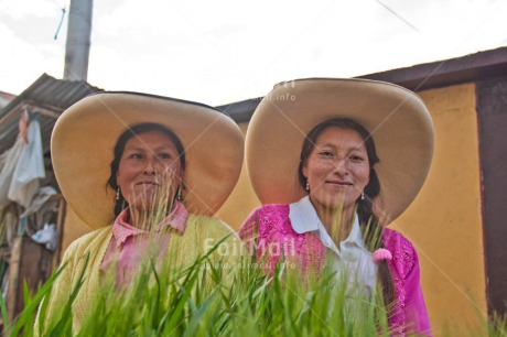 Fair Trade Photo Agriculture, Colour image, Cooperation, Dailylife, Day, Friendship, Horizontal, Latin, Market, Outdoor, People, Peru, Rural, Smiling, South America, Two women