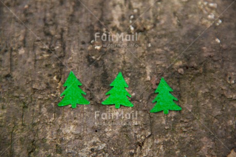 Fair Trade Photo Christmas, Colour image, Green, Horizontal, Peru, South America, Tree, Wood
