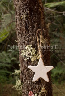 Fair Trade Photo Christmas, Colour image, Peru, South America, Star, Tree, Vertical