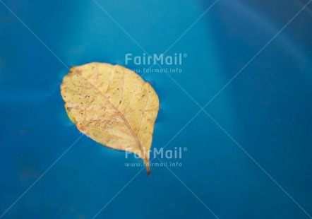 Fair Trade Photo Autumn, Blue, Colour image, Condolence-Sympathy, Horizontal, Leaf, Peru, Seasons, South America, Water