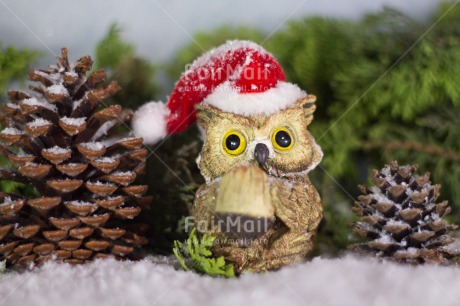Fair Trade Photo Christmas, Colour image, Horizontal, Owl, Peru, Snow, South America