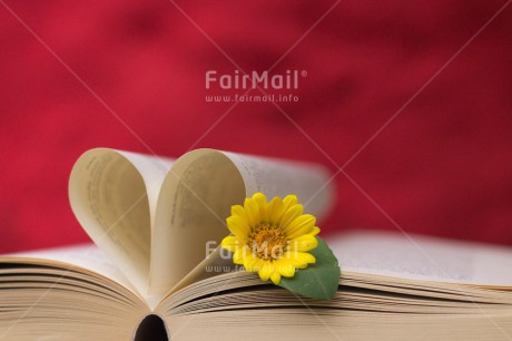 Fair Trade Photo Book, Colour image, Heart, Horizontal, Love, Marriage, Peru, South America, Valentines day, Wedding