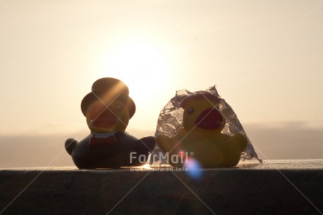 Fair Trade Photo Animals, Colour image, Couple, Duck, Horizontal, Love, Marriage, Peru, South America, Sunset, Together, Wedding