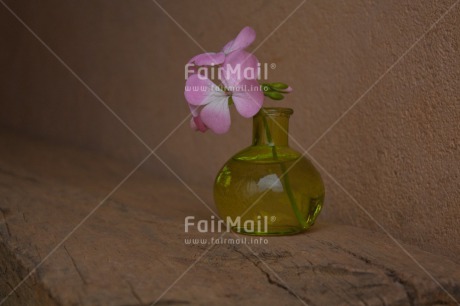 Fair Trade Photo Colour image, Fathers day, Flower, Glass, Green, Horizontal, Love, Mothers day, Peru, Pink, Sorry, South America, Thank you, Valentines day, Vase, Wood
