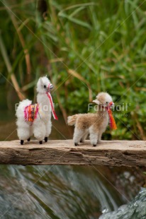 Fair Trade Photo Activity, Animals, Bride, Brown, Colour image, Couple, Horizontal, Llama, Nature, Peru, South America, Together, Vertical, Walking, Water, Waterfall, White
