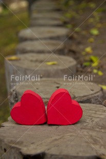 Fair Trade Photo Colour image, Day, Fathers day, Heart, Mothers day, Nature, Outdoor, Path, Peru, Red, South America, Two, Valentines day, Vertical, Wood