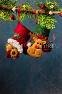 Fair Trade Photo Candy, Christmas, Christmas decoration, Clothing, Food and alimentation, Object, Present, Sock