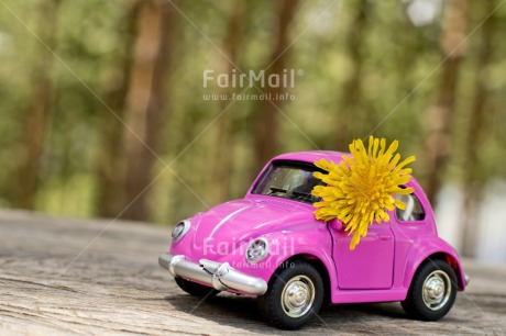 Fair Trade Photo Activity, Car, Chachapoyas, Colour image, Flower, Get well soon, Holiday, Horizontal, Landscape, Moving, New Job, New beginning, New home, On the road, Peru, Pink, Sign, South America, Thinking of you, Transport, Travel, Travelling, Yellow