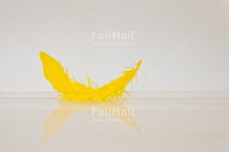 Fair Trade Photo Adjective, Colour, Colour image, Feather, Friendship, Get well soon, Horizontal, Peace, Peru, Place, Sorry, South America, Spirituality, Thank you, Thinking of you, Values, White, Yellow