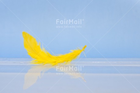 Fair Trade Photo Adjective, Colour, Colour image, Feather, Friendship, Get well soon, Horizontal, Peace, Peru, Place, Sorry, South America, Spirituality, Thank you, Thinking of you, Values, White, Yellow