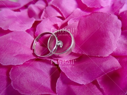 Fair Trade Photo Artistique, Closeup, Colour image, Flower, Horizontal, Love, Marriage, Peru, Pink, Ring, South America