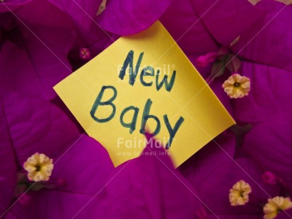 Fair Trade Photo Birth, Closeup, Colour image, Flower, Horizontal, Letter, New baby, Peru, Pink, South America, Tabletop, Yellow
