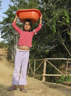 Fair Trade Photo 5 -10 years, Activity, Carrying, Casual clothing, Child labour, Clothing, Colour image, Day, Latin, Looking at camera, One girl, Outdoor, People, Peru, Portrait fullbody, Rural, Social issues, South America, Strength, Tree, Vertical, Working