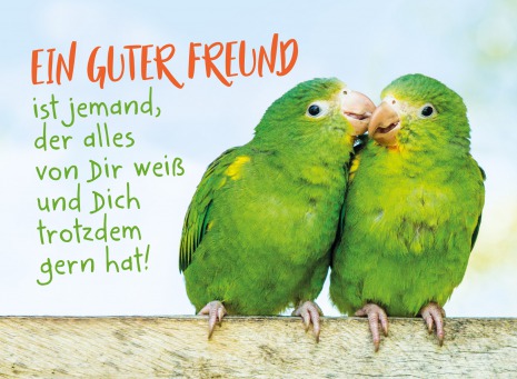Fair Trade Photo Greeting Card Animals, Birds, Colour image, Cute, Friendship, Funny, Green, Horizontal, Love, Parrot, Peru, South America, Together